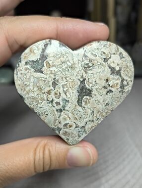 #64 Fossil Coral Heart Crystal | 2" 2oz Agatized Coral Pocket Stone